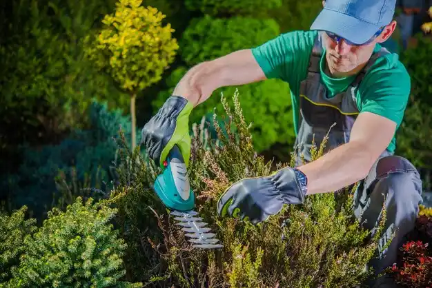 landscaping services North Tunica